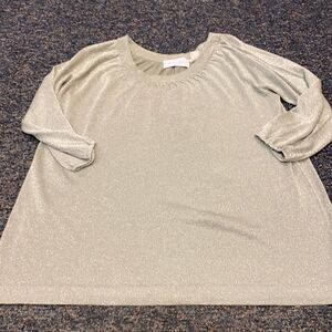Woman Within Silver Shimmer Top sz. 1X